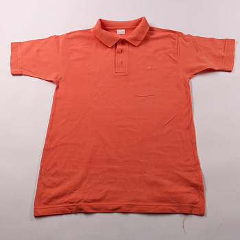 поло